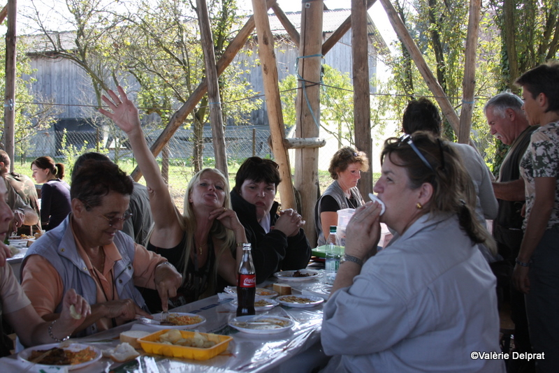 Field Erstein 09 (87).JPG